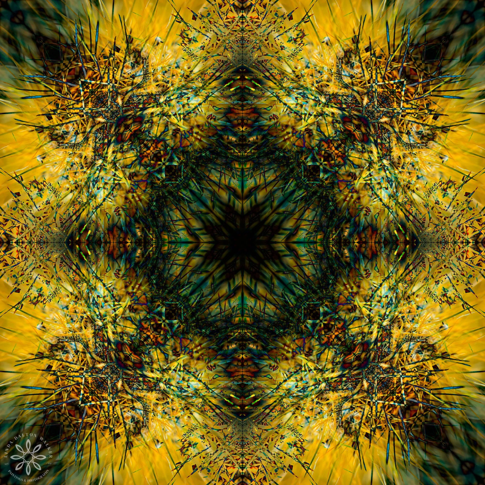 KALEIDOSCOPE ART FLOWERS — Linda Dalton Walker Paintings and